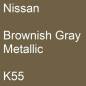 Preview: Nissan, Brownish Gray Metallic, K55.